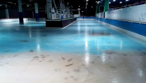 スペースワールド魚氷漬けスケートリンク
