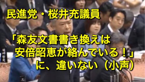 民進党・桜井充議員「財務省は被害者、安倍昭恵夫人が関与していることは明らか」森友文書書き換え疑惑で