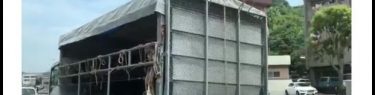 ウーマン村本が投稿削除、家畜運搬車動画に「世界中で起きてる拉致問題」のコメントで大炎上