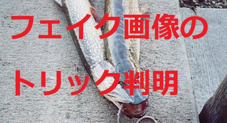 風評被害煽る放射能デマ「放射能で奇形魚、回転寿司が買っている」→海外のフェイク画像とバレて謝罪