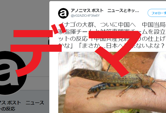 検証！巨大イナゴの大群が中国を襲う？→アノニマスポストが中国情報と放射能デマ屋に釣られ拡散
