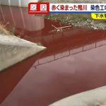 京都・鴨川が赤く染まった原因は「染色工場などの排水」と判明、管の詰まりによる水位上昇で川に流出
