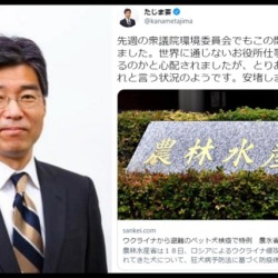 立憲・田嶋要議員が炎上「世界に通用しないお役所仕事」ウクライナからの避難ペット検疫を軽視するツイッター投稿→批判殺到で謝罪