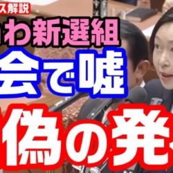 国会で虚偽発言？れいわ新選組・櫛淵万里「日本の国会議員で唯一、核禁止締約国会議に連続参加」→共産党も参加、抗議を受ける【KSLチャンネル】