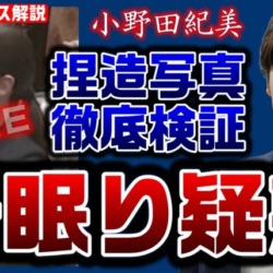 捏造か？小野田紀美議員“居眠り疑惑”の真相を動画で徹底検証！れいわ新選組オーナーズが逆恨みで投稿か【KSLチャンネル】