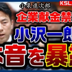 小泉進次郎が暴露！政治改革のウソと小沢一郎の本音 元衆銀議長の証言【KSLチャンネル】