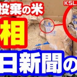 【真相判明】不法投棄された米、袋に「毎日新聞」文字?転売ヤーから購入してコクゾウムシ大発生か【KSLチャンネル】 【真相判明】不法投棄された米、袋に「毎日新聞」文字?転売ヤーから購入してコクゾウムシ大発生か【KSLチャンネル】