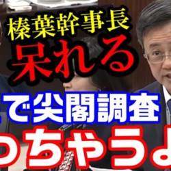 榛葉幹事長も呆れてボヤく！尖閣諸島のモグラを衛星で調査？環境省の答弁に山田吉彦議員は失笑「ヤギも見えない」【KSLチャンネル】