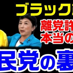 【社民党の闇】新垣議員の離党を認めない本当の理由がコレ！ブラック政党の内情を暴露する【KSLチャンネル】