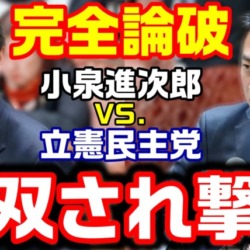 【論破】小泉進次郎大臣に絡み続ける立憲民主党→無双をかまされ撃沈【KSLチャンネル】 【論破】小泉進次郎大臣に絡み続ける立憲民主党→無双をかまされ撃沈【KSLチャンネル】