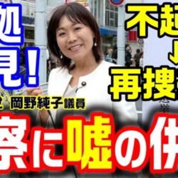 【完全終了】虚偽の供述で不起訴？→証拠が見つかる！国民民主党の標旗不正利用問題、岡野純子議員の辞職は不可避か？【KSLチャンネル】